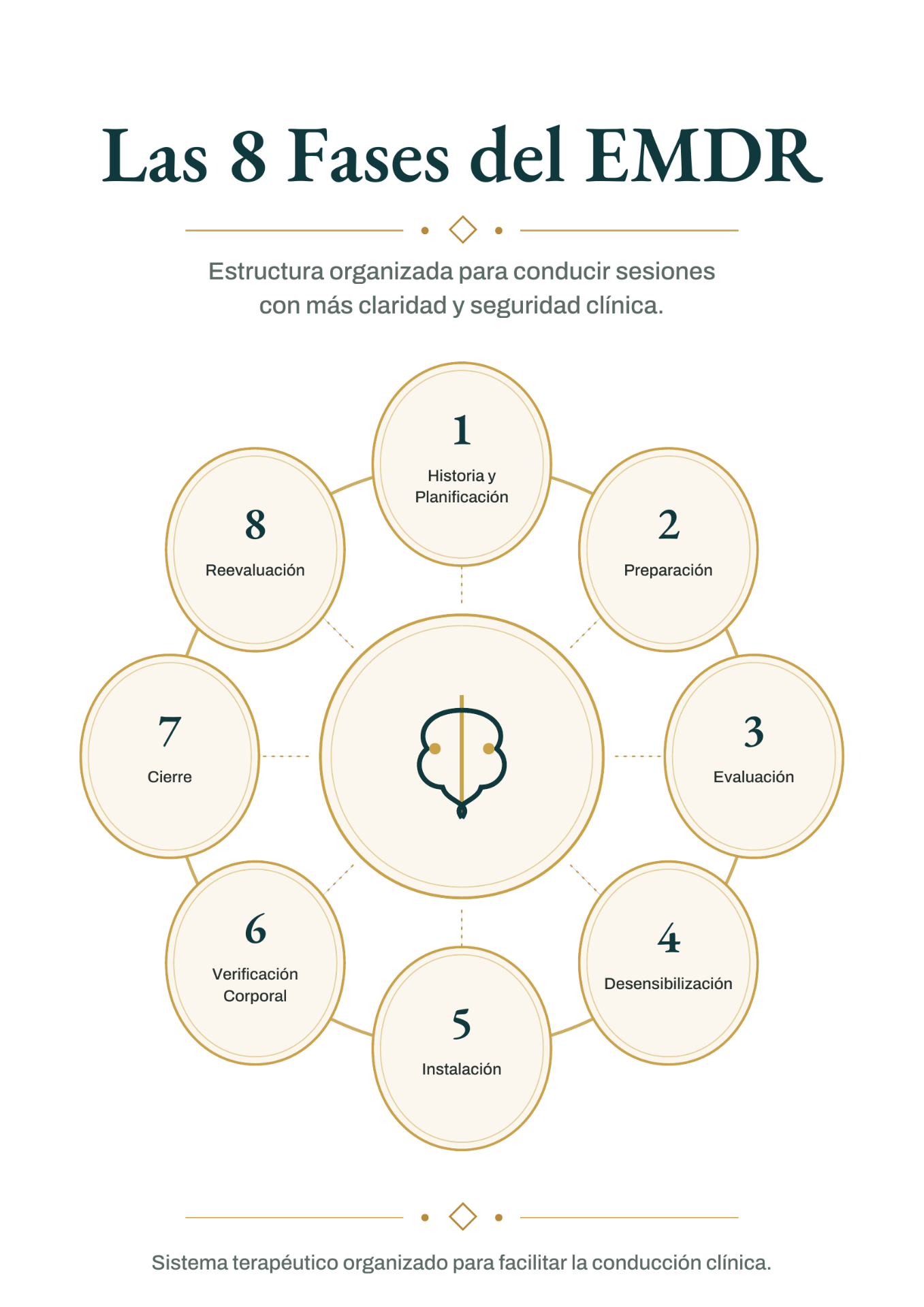 Las 8 Fases del EMDR
